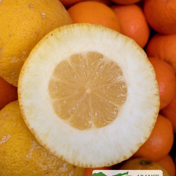 Second image of CEDRI 9KG