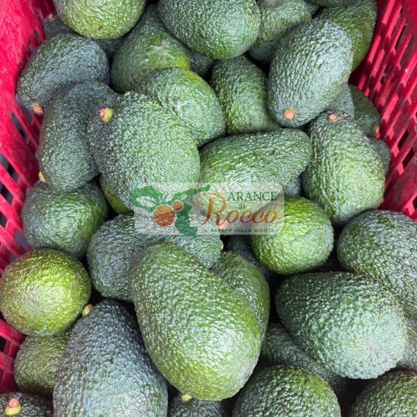 AVOCADO HASS
