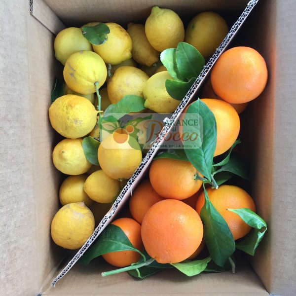 ARANCE TAROCCO GALLO IGP 8KG + LIMONI 8KG
