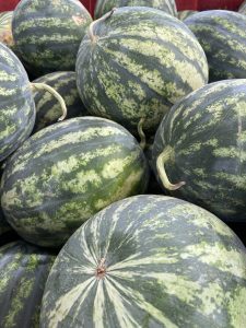 60F96DBB-366E-4781-8503-5E642802D2AC-scaled-1.jpeg