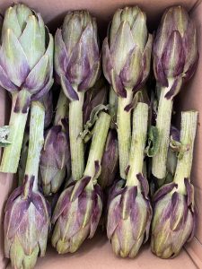 66487F4B-9D10-416F-868C-1ED1E408E7F0-scaled-1.jpeg