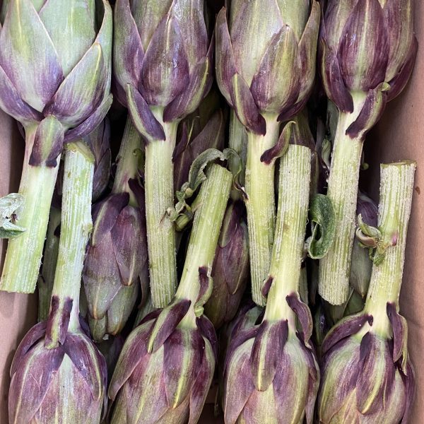 Carciofi violetto