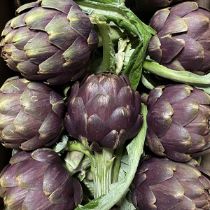 Carciofi