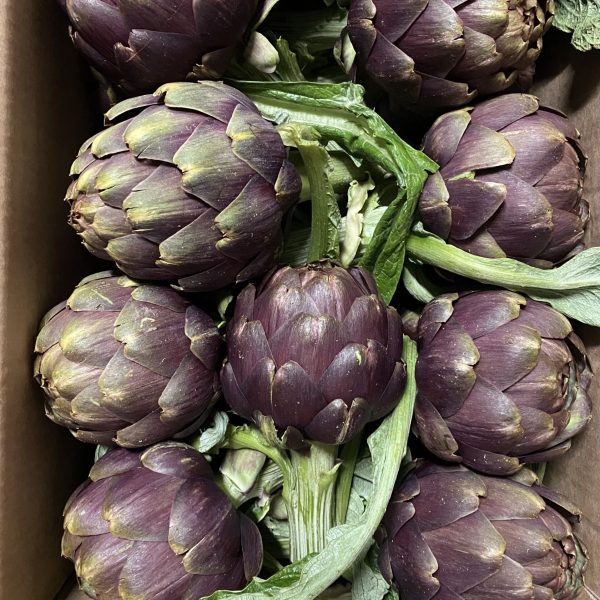 Carciofi Apollo