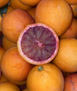 D3E20F1C-6DBF-4773-937B-22FF24D460B6-scaled-1.jpeg