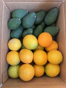 IMG_3590-scaled-1.jpeg