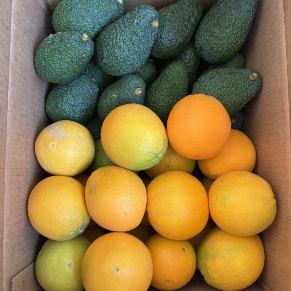 AVOCADO HASS 4KG + ARANCE 5KG