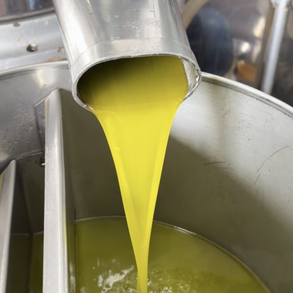 OLIO EXTRAVERGINE D’OLIVA