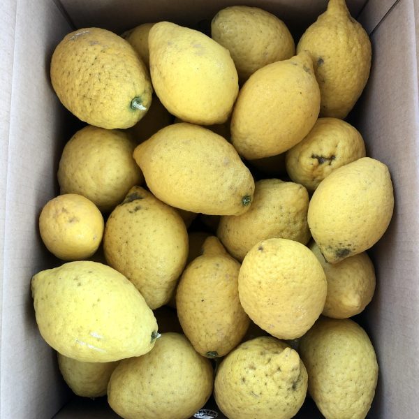 CEDRI 9KG