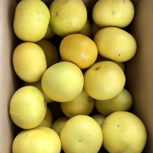 POMPELMI 9KG
